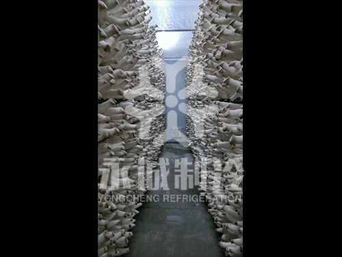 江蘇連云港豐收菇業(yè)有限公司食用菌出菇庫(kù)